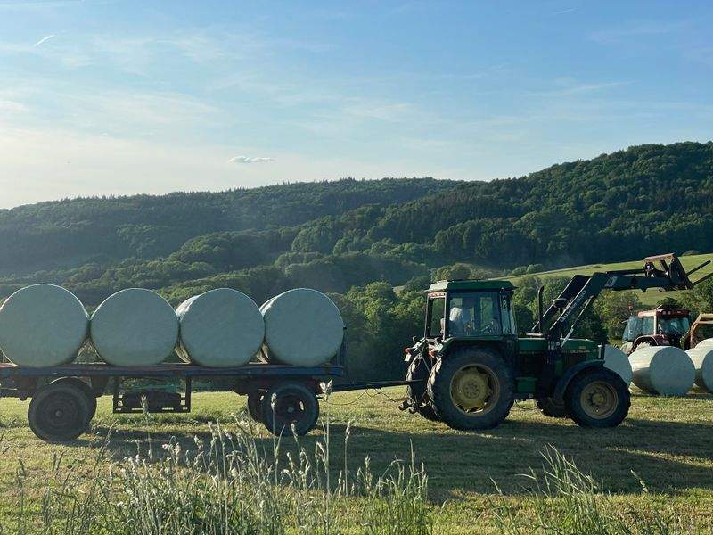 AgroNova Iberia 11