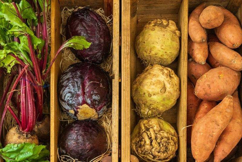 Venta de fitosanitarios y control integrado de plagas